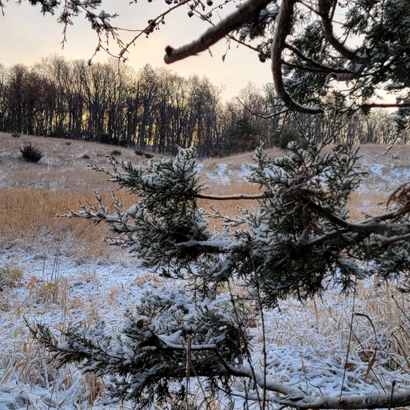 Meet your Posher, Brody - Picture 3 of 12